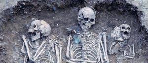 Gemeinsam begraben. Drei Menschen angelsächsischen Ursprungs aus dem 5. bis 6. Jahrhundert fanden ihre letzte Ruhestätte auf einem Friedhof im ostenglischen Oakington.