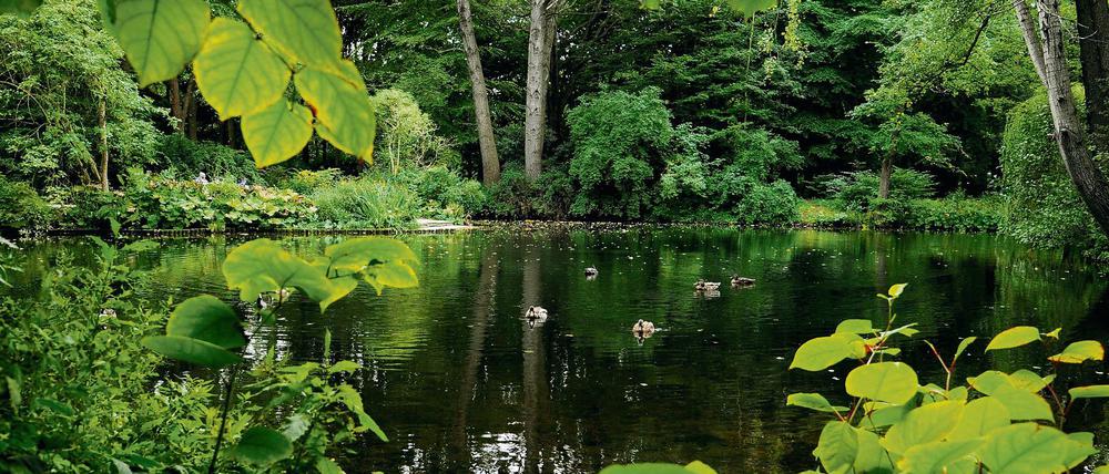 Unendliche Landschaft. Die einst zur Trockenlegung des Tiergartens geplanten Wasserläufe mit ihrer abwechslungsreichen Ufergestaltung entsprechen noch heute den Intentionen Lennés.