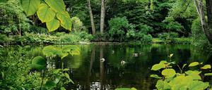 Unendliche Landschaft. Die einst zur Trockenlegung des Tiergartens geplanten Wasserläufe mit ihrer abwechslungsreichen Ufergestaltung entsprechen noch heute den Intentionen Lennés.