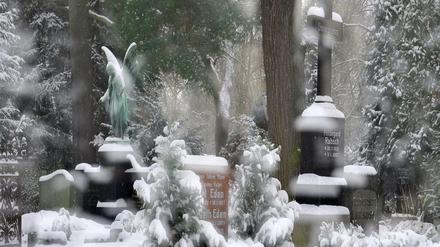 Der Sankt-Elisabeth-Friedhof in der Ackerstraße in Berlin Mitte. 