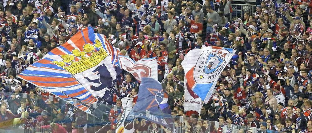 Dynamo. Ist nicht nur ein Antriebssystem - Fans der Eisbären.