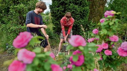 Urban Farming: Städter werden zu Bauern. Was einst als Schnapsidee galt, findet immer mehr Freunde. 