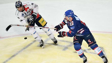 Auch gegen Mannheim konnten die Eisbären in dieser Saison nur eines von zwei Spielen gewonnen.