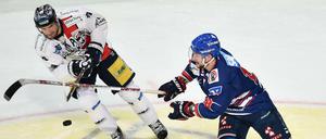 Auch gegen Mannheim konnten die Eisbären in dieser Saison nur eines von zwei Spielen gewonnen.