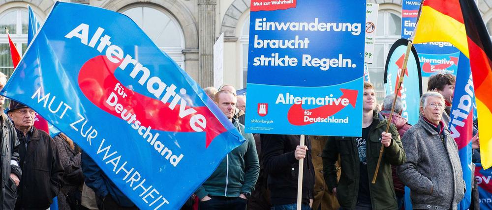 Die Alternative für Deutschland (AfD) profitiert vom Streit um die Flüchtlingspolitik.