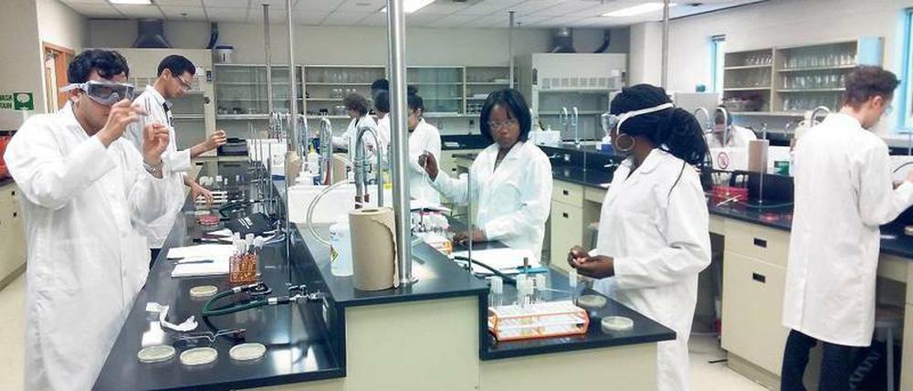 Hohe Berufsschule. Die zwei- bis dreijährigen beruflichen Colleges in Kanada haben Vermittlungsquoten von gut 90 Prozent in den Arbeitsmarkt. Viele Uniabsolventen satteln einen Intensivkurs am College auf, um ihre Jobchancen zu verbessern.