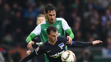 Vladimir Darida erzielte ein Tor gegen Werder.