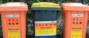 Sonderfall Berlin. Seit 1991 ist grundsätzlich die private Entsorgungswirtschaft für Plastikabfälle zuständig. Die Kommunen wollen das ändern. In Berlin einigte sich die private Alba 2013 mit der landeseigenen BSR auf eine „gemeinsame Wertstofftonne“.