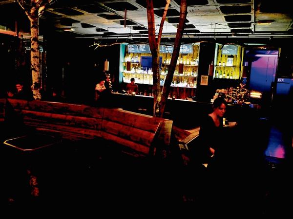 Blick auf die Theke der Baumhaus Bar