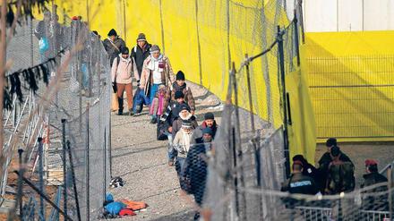 Eingegrenzt. Tausende Flüchtlinge kamen in den vergangenen Monaten über die österreichisch-slowenische Grenze.
