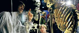 Gespannt am Skelett. Der angehende Mediziner Daniel Wobetzky erklärt, warum sich die Wirbelsäule bei der Erkrankung Morbus Bechterew verkrümmt. 