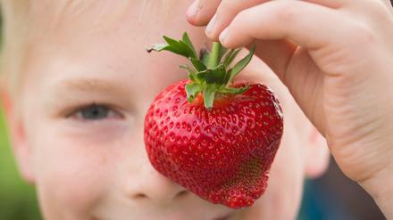 Frutti für tutti. Sogenannte Convenience Produkte richten sich nach Geschmacksvorlieben und Lebensweisen. Das reguläre Obst und Gemüse ist dafür meist günstiger.