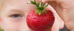 Frutti für tutti. Sogenannte Convenience Produkte richten sich nach Geschmacksvorlieben und Lebensweisen. Das reguläre Obst und Gemüse ist dafür meist günstiger.