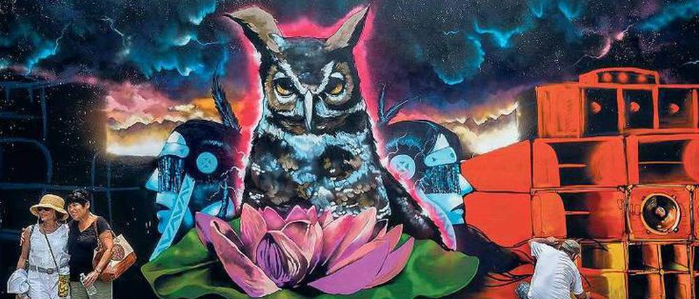 Jenseits von Graffiti. Im Wynwood Art District kommt, wie hier, nur Kunst an die Wände. Jede Straße eine Freiluftgalerie, eine Traumlandschaft in Farbe. 