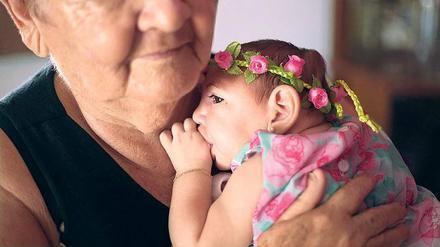 Infizieren sich Schwangere im ersten Trimester mit Zikaviren, ist die Wahrscheinlichkeit 1 zu 100, dass die Hirnentwicklung beeinträchtigt und Kinder mit Mikrozephalie (zu kleinen Köpfen) geboren werden. 