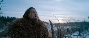 Isst notfalls auch Bisonleber: Leonardo DiCaprio im Film "The Revenant"