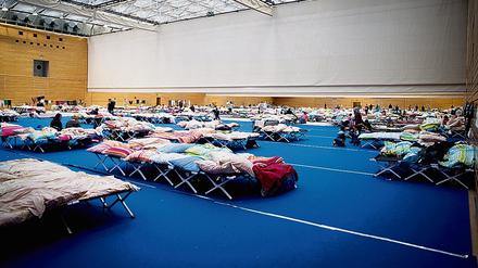 Zahlreiche Betten stehen in einer großen Sporthalle am Olympiapark im Stadtteil Charlottenburg für Flüchtlinge bereit.