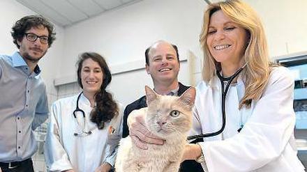 Auch Tiere profitieren vom Arznei-Shuttle (v.l.n.r.): Gründer Emanuel Fleige, Tierärztin Laura Schneidewind, Gründer Sam Moré und die Direktorin der Kleintierklinik der Freien Universität Prof. Barbara Kohn.