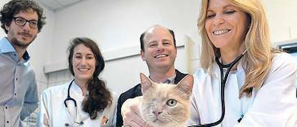 Auch Tiere profitieren vom Arznei-Shuttle (v.l.n.r.): Gründer Emanuel Fleige, Tierärztin Laura Schneidewind, Gründer Sam Moré und die Direktorin der Kleintierklinik der Freien Universität Prof. Barbara Kohn.