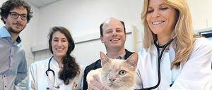 Auch Tiere profitieren vom Arznei-Shuttle (v.l.n.r.): Gründer Emanuel Fleige, Tierärztin Laura Schneidewind, Gründer Sam Moré und die Direktorin der Kleintierklinik der Freien Universität Prof. Barbara Kohn.