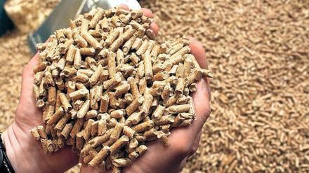 Kleine Pellets, große Sorgen. German Pellets hat Insolvenz angemeldet. Jetzt fürchten die Anleger um ihr Geld. 