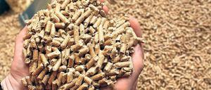 Kleine Pellets, große Sorgen. German Pellets hat Insolvenz angemeldet. Jetzt fürchten die Anleger um ihr Geld. 
