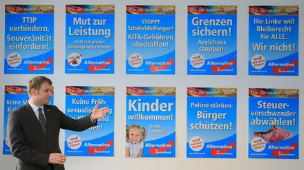 André Poggenburg, Landesvorsitzender der Partei Alternative für Deutschland (AfD), stellt die Wahlplakate für Wahl in Sachsen-Anhalt vor. Einen Monat vor der Landtagswahl sieht eine Umfrage die AfD bei 17 Prozent.