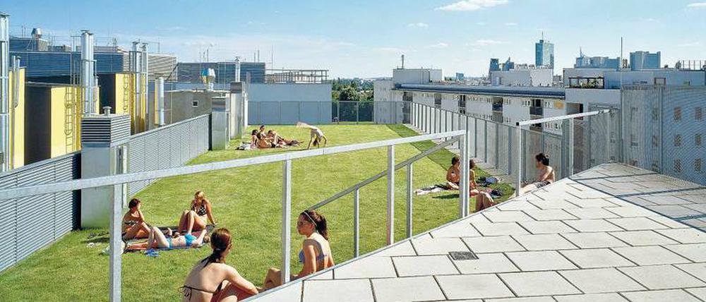 Auf dem Dach der "Bremer Stadtmusikanten" von Artec-Architekten treffen sich die Bewohner auf der Liegewiese des Pools.