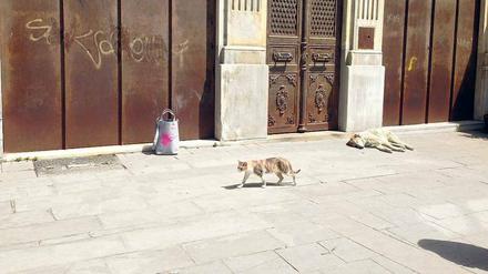 Eine Berlinale-Tasche in Istanbul.