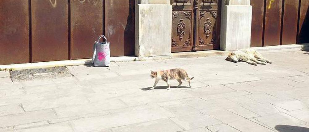 Eine Berlinale-Tasche in Istanbul.