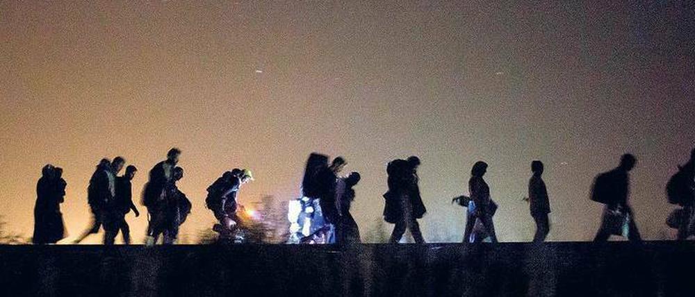 Nachtwanderung. Flüchtlinge sind auf dem Weg, die Grenze zwischen Ungarn und Serbien zu überqueren, eine Station der Balkanroute.