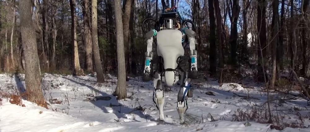 Selbst mit dem unebenen und verschneiten Waldboden kommt der Roboter Atlas bestens zurecht.
