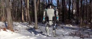 Selbst mit dem unebenen und verschneiten Waldboden kommt der Roboter Atlas bestens zurecht.