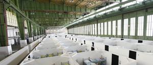 Fünf mal fünf Meter für je zwölf Personen stehen den Flüchtlingen in den Hangars des Tempelhofer Feldes zur Verfügung.
