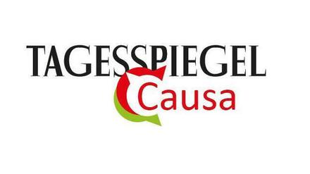 Tagesspiegel Causa ist das Online-Debattenmagazin des Tagesspiegels. Seit Ende November 2015 ist eine Beta-Version online. Das Projekt wird nun mit Mitteln der Google Digital News Initiative weiterentwickelt, ein Fond, der innovative Projekte des digitalen Journalismus fördert.