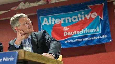 Der Baden-Württembergische AfD Vorsitzende und Spitzenkandidat der AfD zur Landtagswahl 2016, Jörg Meuthen