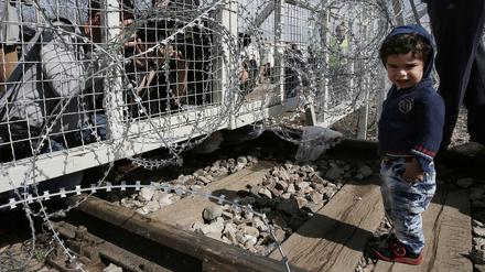An der griechisch-mazedonischen Grenze bei Idomeni. Nach griechischen Medienberichten warten mittlerweile mehr als 10 000 Migranten auf der griechischen Seite der Grenze. 