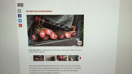 Neues Design im Artikel auf Tagesspiegel.de