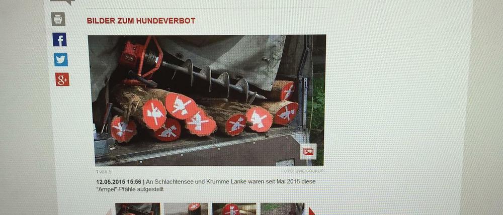 Neues Design im Artikel auf Tagesspiegel.de
