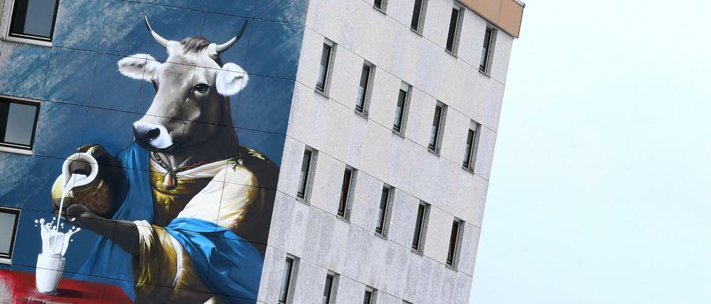 Ein riesiges Kuh-Graffiti wirbt an der Fassade des Wohnheimes der Molkereischule in Kempten (Bayern) für den Konsum von Milch.