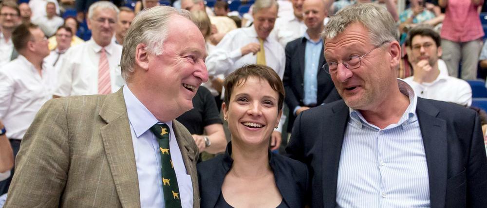 AfD-Spitze: Die Bundesvorsitzenden Frauke Petry und Jörg Meuthen (rechts) und Stellvertreter Alexander Gauland