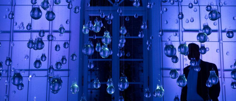 Der Kaiser und die Birnen. Wenn Robert Schwan verreist war, konnte Beckenbauer schon mal 14 Tage im Dunkeln sitzen.