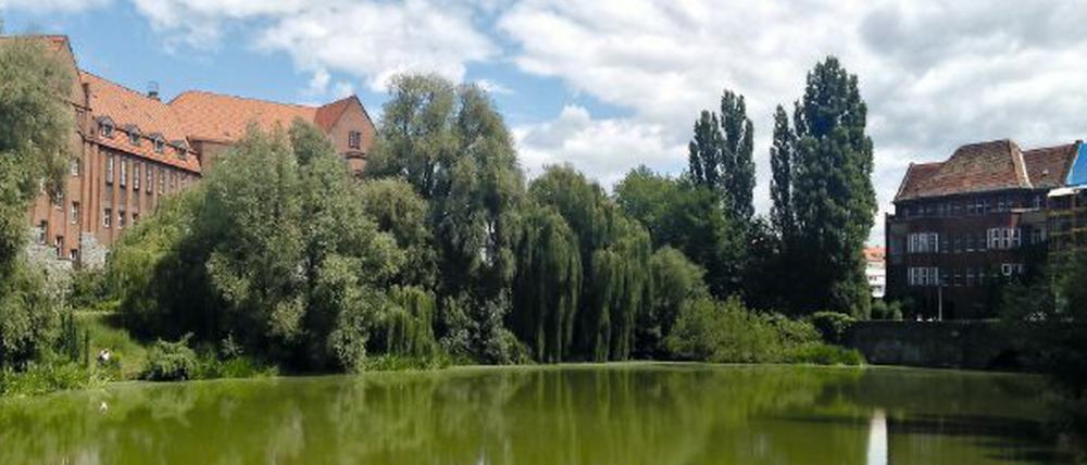 Kreuzpfuhl