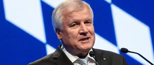 Der CSU-Parteivorsitzende Horst Seehofer.
