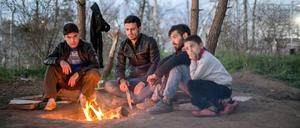Flüchtlinge in Idomeni direkt an der Grenze zwischen Griechenland und Mazedonien. 