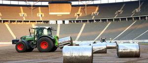 Der Grasteppich wird im Olympiastadion Berlin verlegt. Die Soden samt Gras, Wurzeln und Erde sind 38 Millimeter dick.