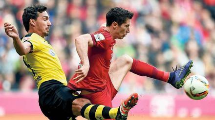 Breite Brust gegen spitzen Fuß. Auch diesmal könnte es wieder zum Duell zwischen Mats Hummels (links) und Robert Lewandowski kommen.