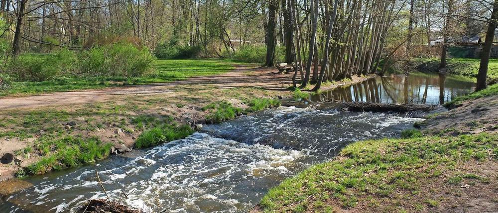 Schon umgesetzt: Die Fischtreppe im Schlosspark Schönhausen.