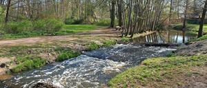 Schon umgesetzt: Die Fischtreppe im Schlosspark Schönhausen. 