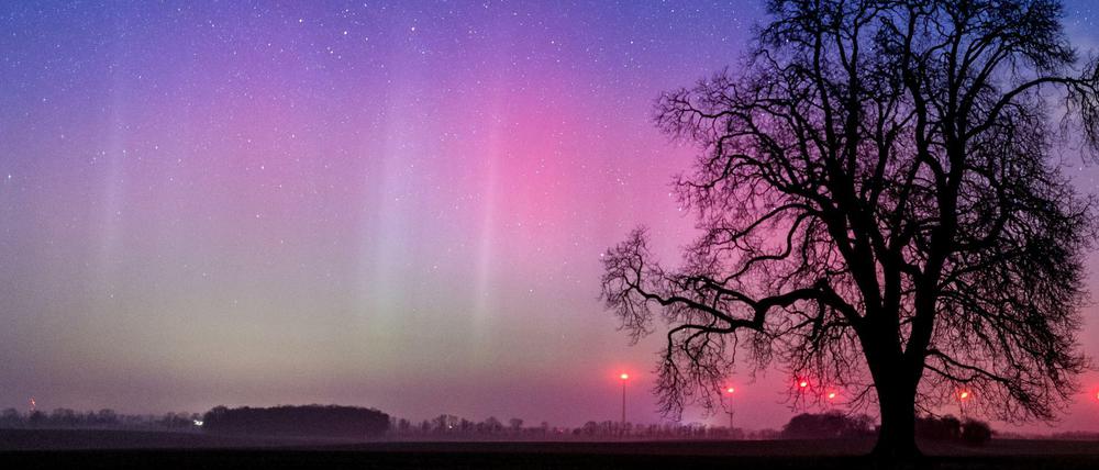 Skandinavien in der Mark: Polarlichter in Brandenburg.
